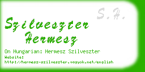 szilveszter hermesz business card